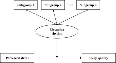 Association between circadian rhythm and sleep quality among nursing interns: A latent profile and moderation analysis